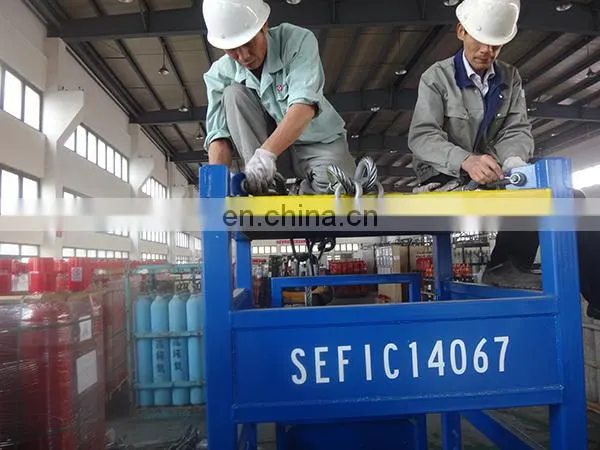 Best Selling TPED Certificate EN ISO9809-1 25E Valve Seamless Steel 50L Nitrogen Cylinder with 99.99% Purity