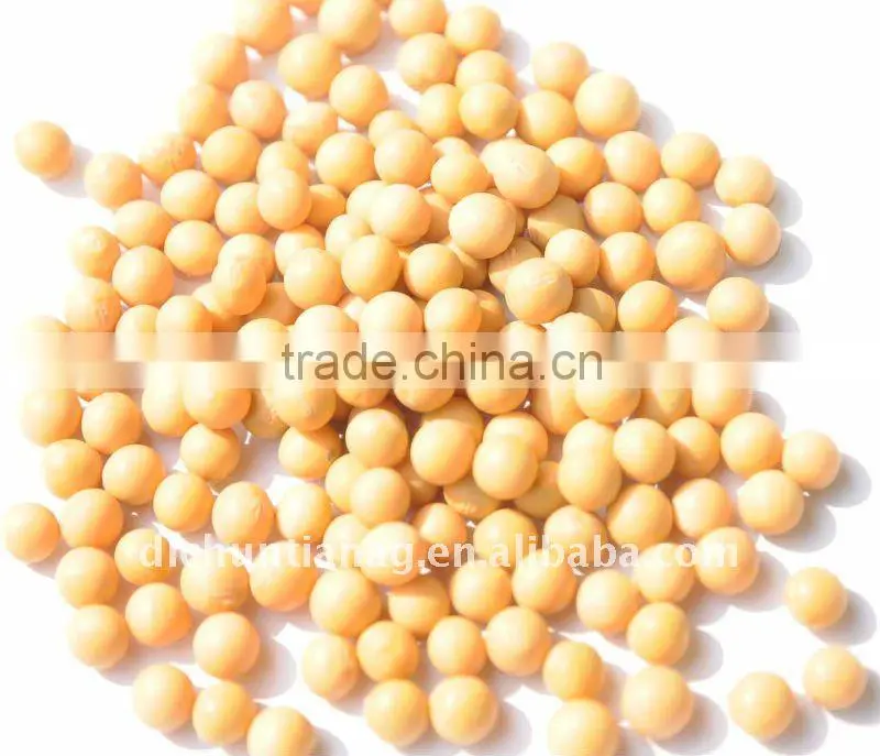 Organic Soybeans