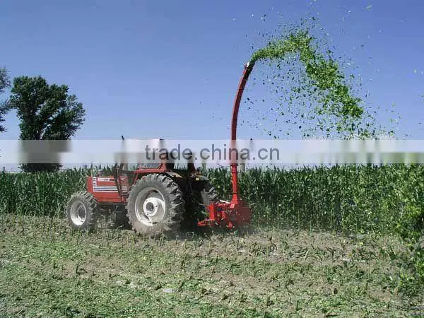 Oat