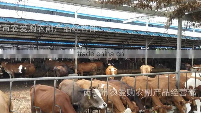 Animal for drying bags wood sawdust bedding