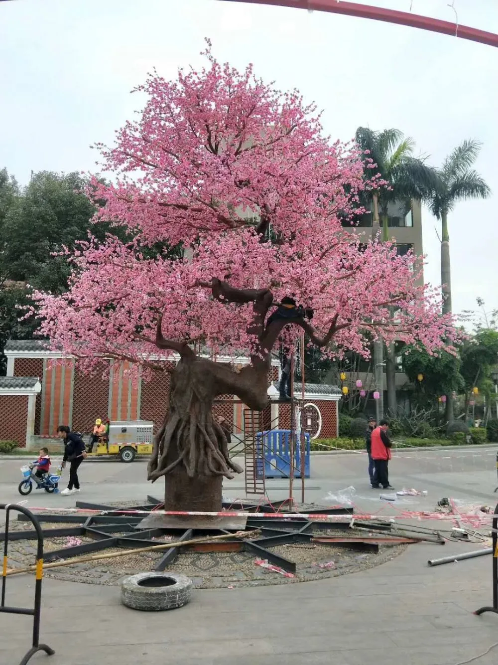 沈阳高花樱花树工程