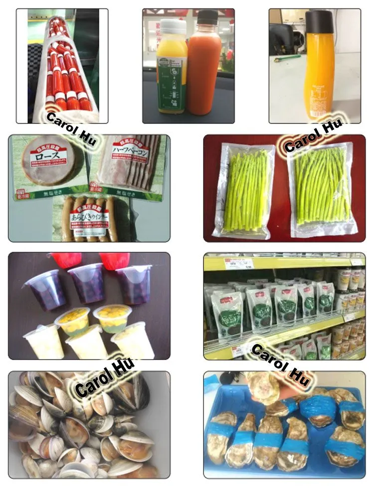 Mini Small 3L 5L 10L Juice HPP Machine