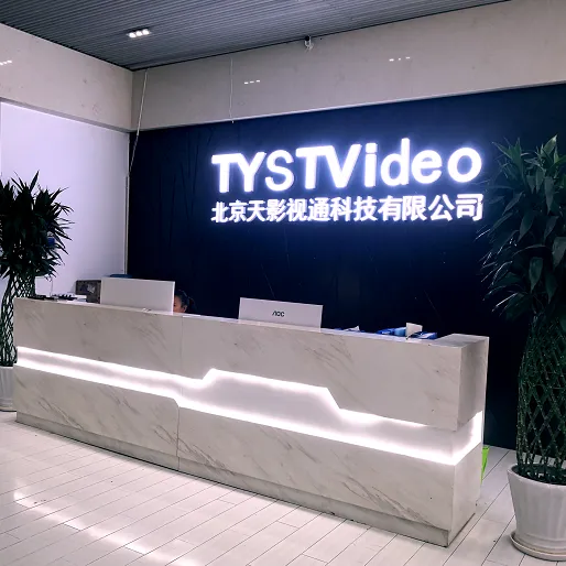 Beijing Tianying Vision Technology Co., Ltd. company overview - view 1