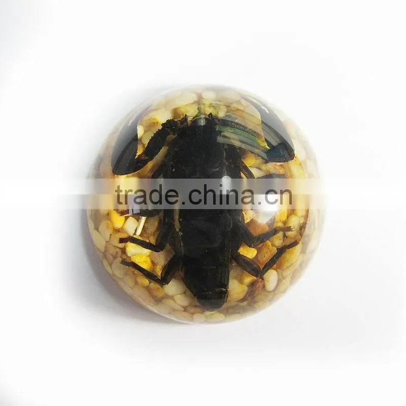 Promotional gifts glow in dark semicircle crystal ornament