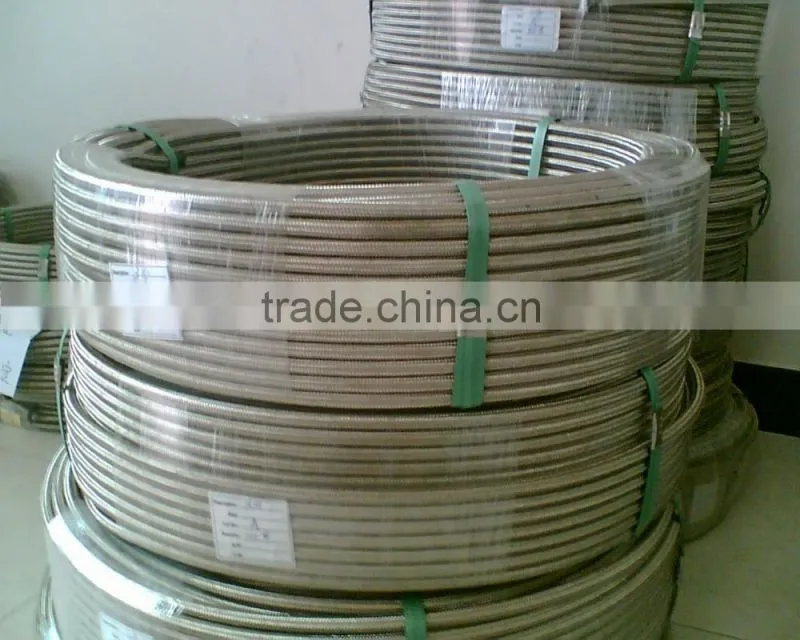 ISO 9001 Manufacturer 304 Stainless Steel 1/2'' PTFE Flexible Hose