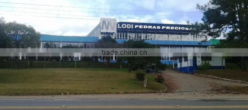 Mv Lodi Pedras Preciosas Brasil Ltda company overview - view 2
