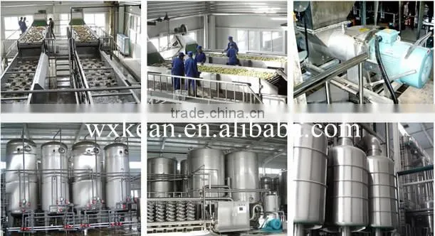 concentrated orange juice production line