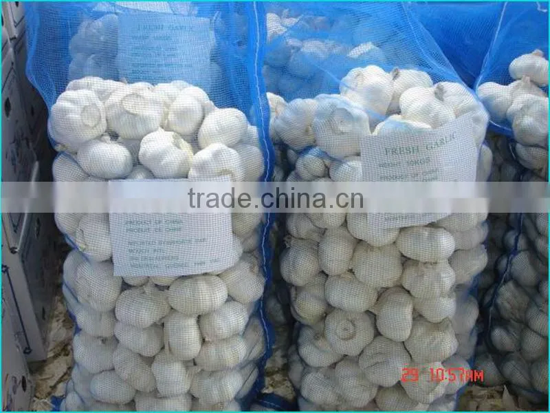 2016 New Crop Chinese Red Garlic