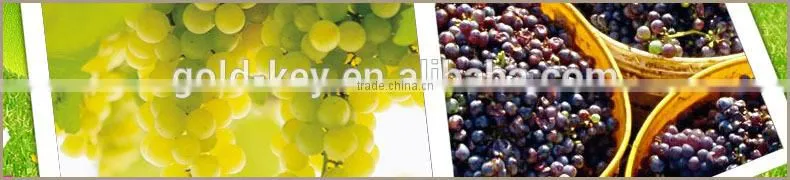 Best Quality Pure and Fresh Grape Seed Oi with Bulk Supply