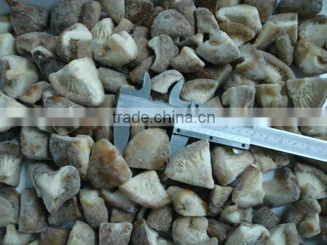 IQF FROZEN shiitake mushrooms quarters