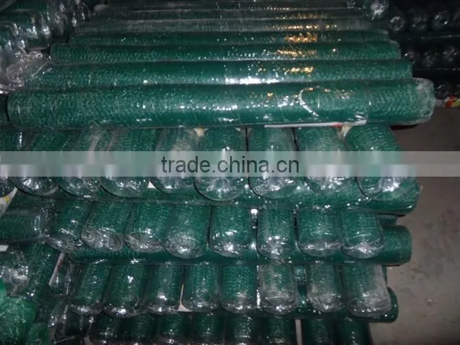 cheap price high quality fence mesh chicken wire mesh