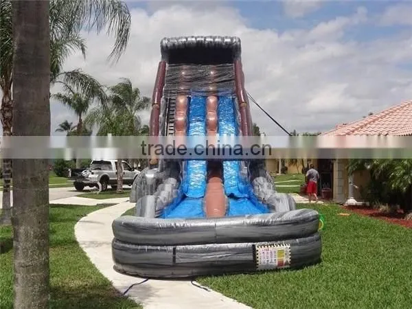 Amusement Park 30 FT 2 Lane Inflatable Water Slides Custom PVC Waterproof
