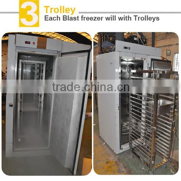 IQF freezer for fish freezing