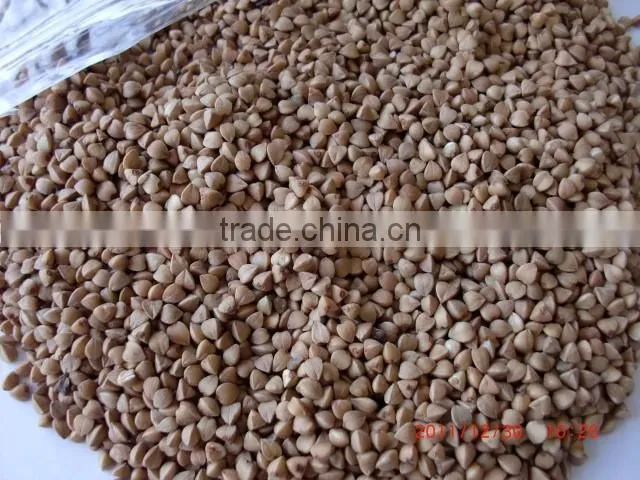 Chinese Roasted Buckwheat Kernel to GEORGIA AND RUSSIAN