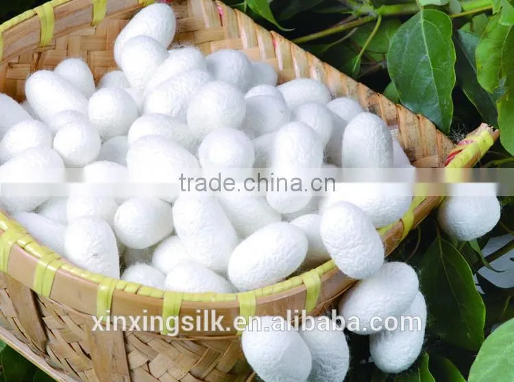 100% spun mulberry raw silk yarn used for knitting weaving