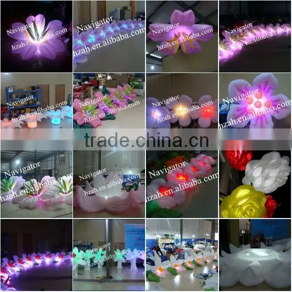 Stage Decoration Inflatable Wall with Light