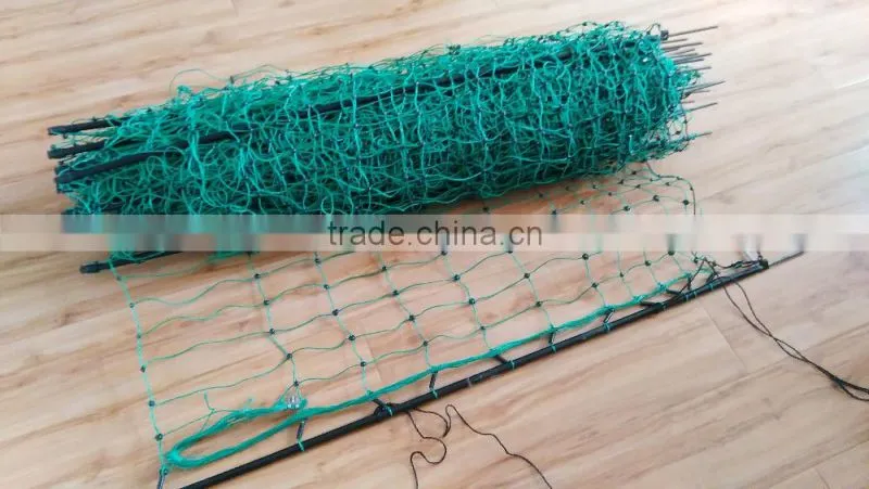 ELECTRIC FENCING NETTING GOAT FARMING
