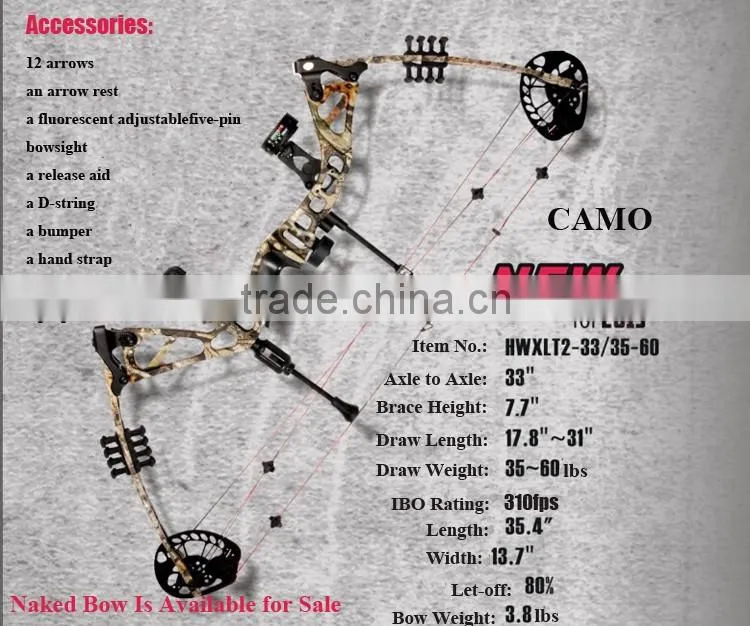 China Archery Compound Bow 195 for Hunting and Shooting