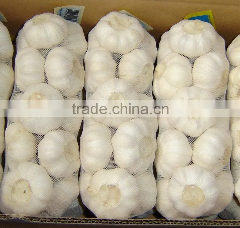 chinese pure white garlic for EU