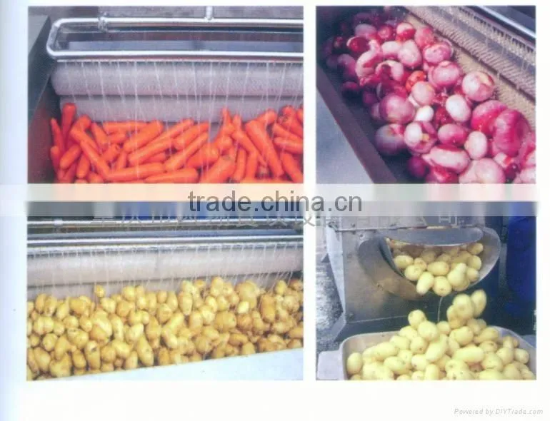MSTP-500 High Efficiency Automatic Fresh Ginger Washing and Peeling Machine