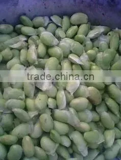 soybean peeling machine /green bean peeling machine