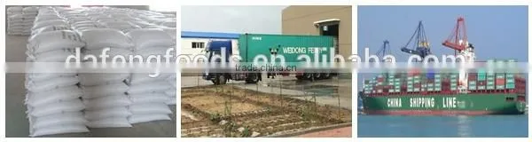 export shine skin pumpkin seeds 2015 new crop