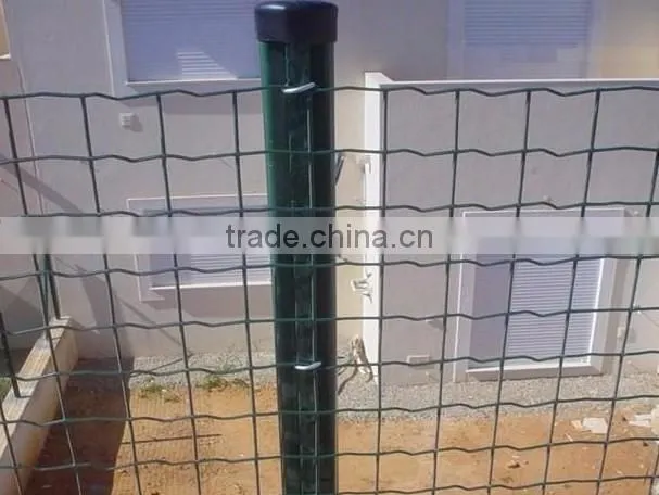 green pvc coated welded holland wire mesh
