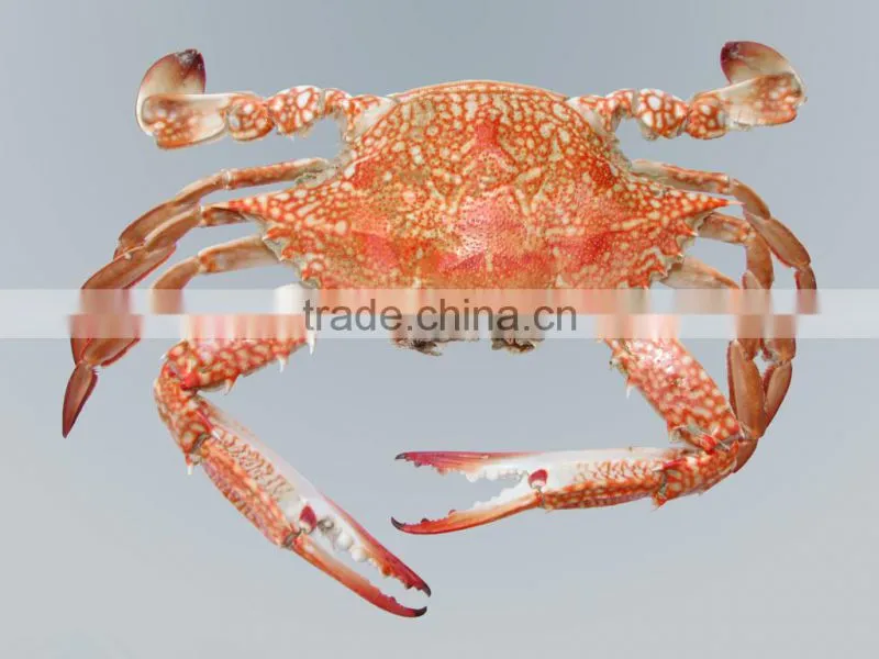 Bio fertilizer Chitosan foliar fertilizer