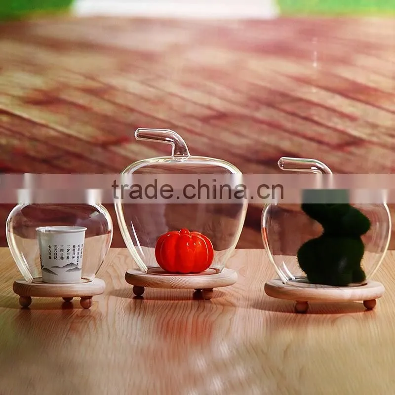 clear globes glass Vase glass Landscape bottle apple shape wood stand