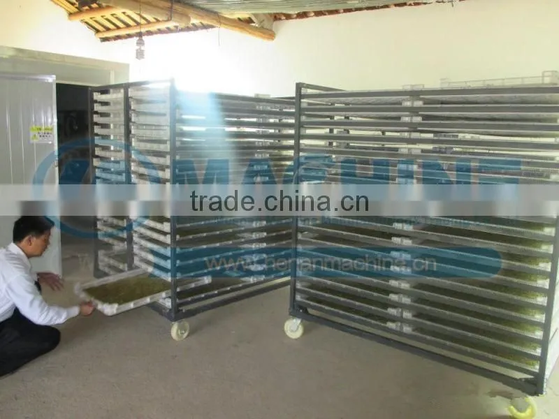Stainless fruits dryer machine with lowest price