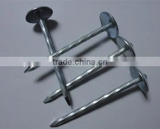 Large head roofing nail china nail factory price from China