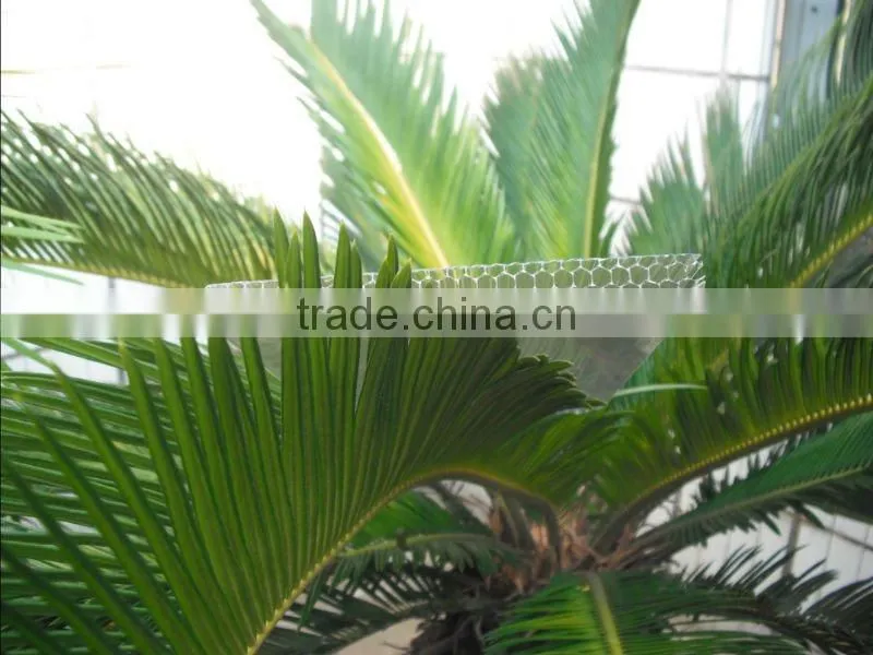 Swimming pool Polycarbonate Honeycomb sun sheet