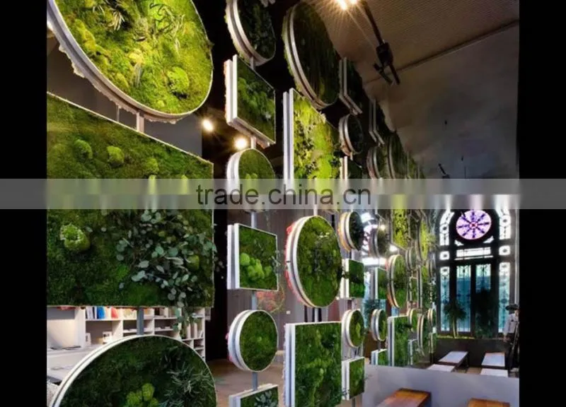 plastic green wall for living room decoration moss green wall decoration