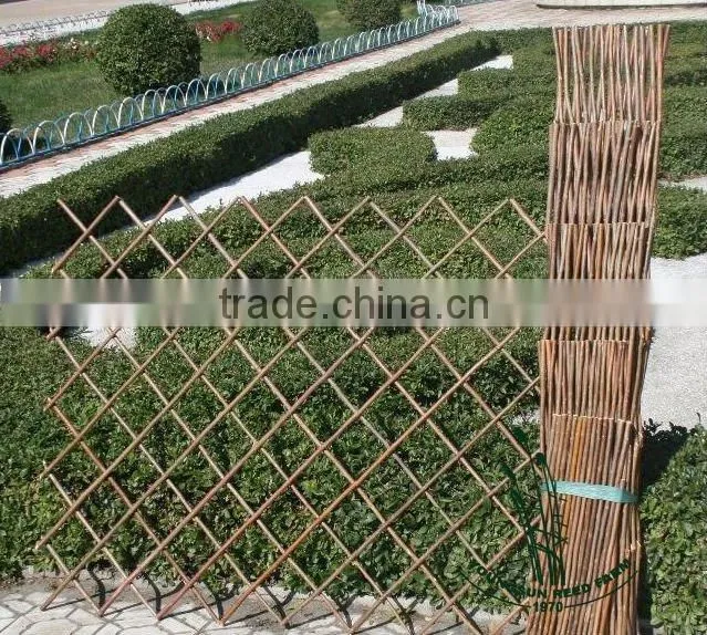 willow trellis