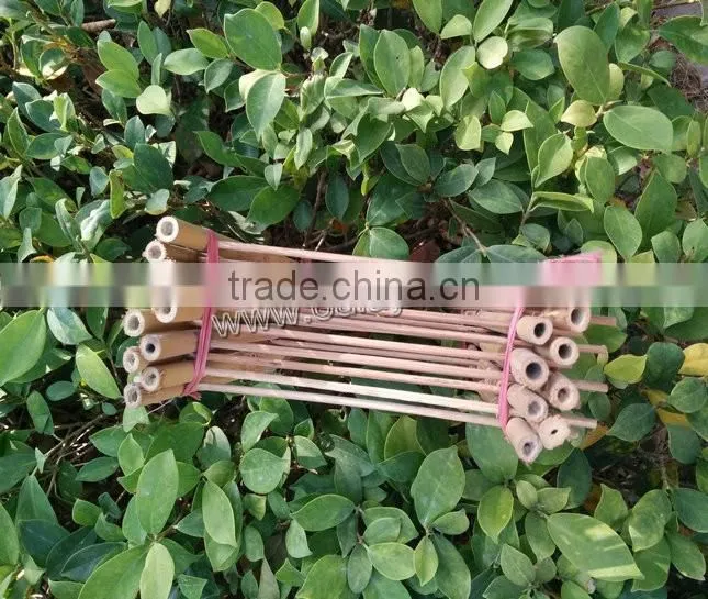 bamboo wood trellis