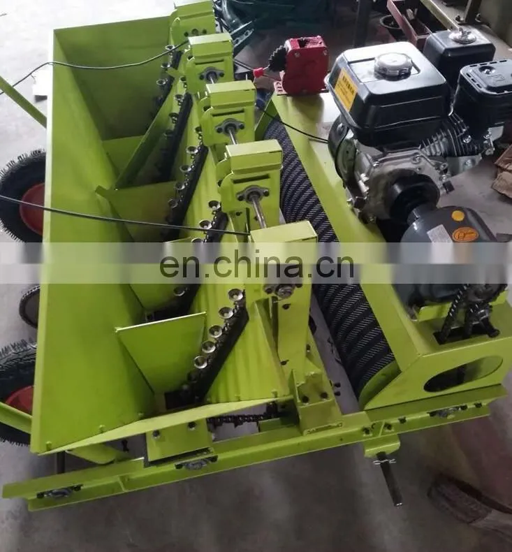 Hot Selling 6 Row Garlic Planter/tractor driven garlic seeder with wholesale price