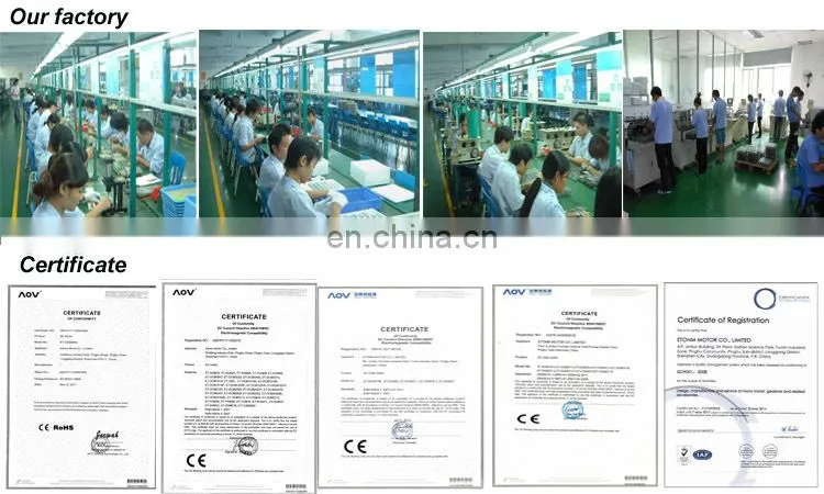 12V 24V ET-CGM95-A flat gear reduced electric motors for sale