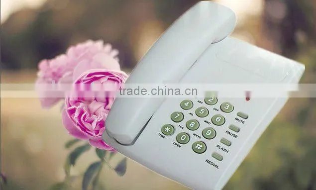 basic corded telefon for hotel and home