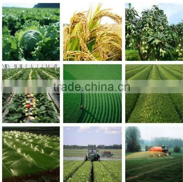 Direct From Factory urea n46