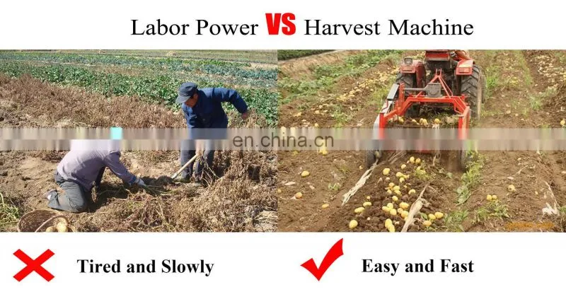 Tractor mounted yam harvester 2 rows sweet potato harvester