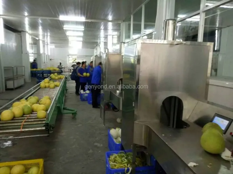 Eggplant Peeling Machine Skiving Machine Peeler Industrial Machine