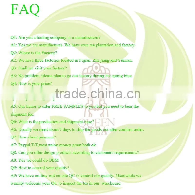 Premium Chinese henan province sharp green tea xinyang souchong maofeng tea xinyangmaojian green tea