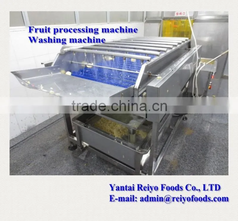 fruits and vegetables cleaning machine