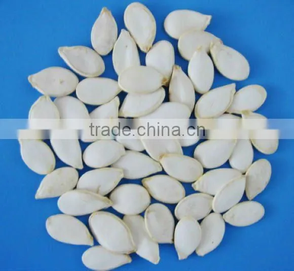 white pumpkin seeds