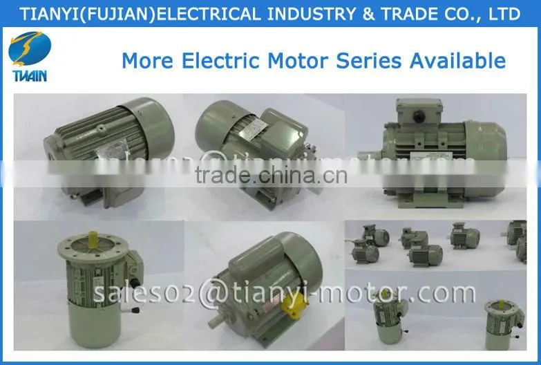 Most Sellable Y Induction Motor 100% Delivery On Time Rate