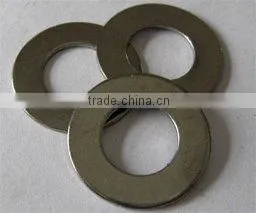plain washer screw