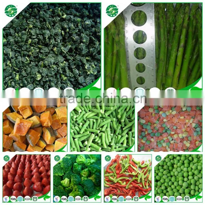 Price of iqf fresh frozen sweet corn