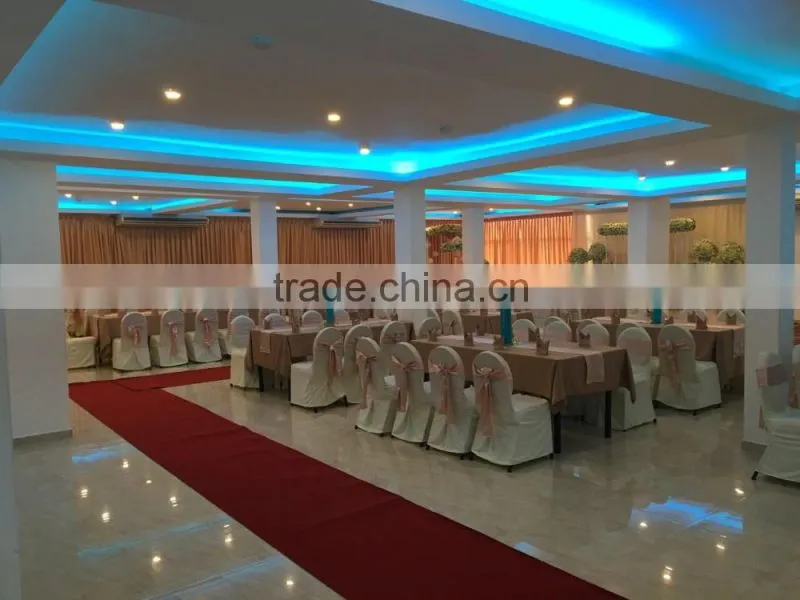 SMD3014 Led strip light blue color 204led/m strip light non-waterproof with CE&Rohs