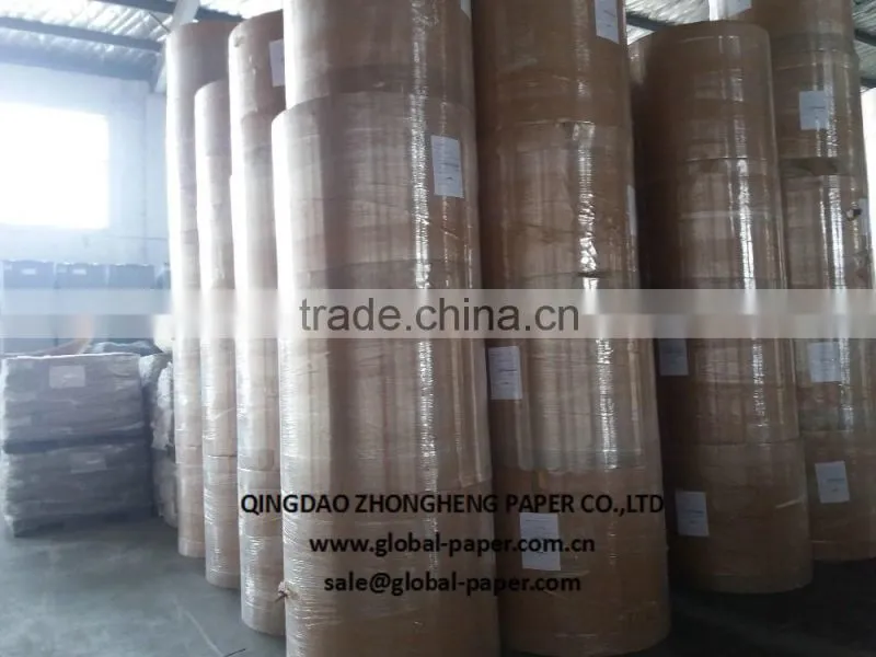 High quality coated PE Cup base paper