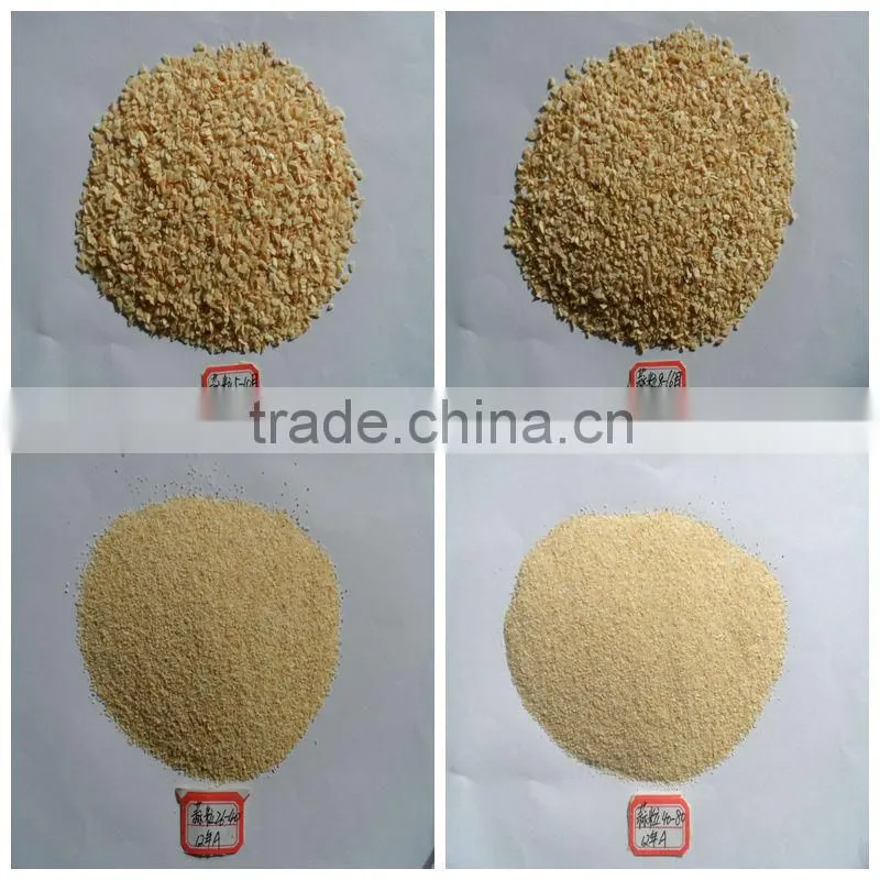 dried garlic granule with root